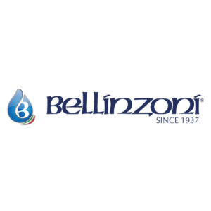 BELLINZONI